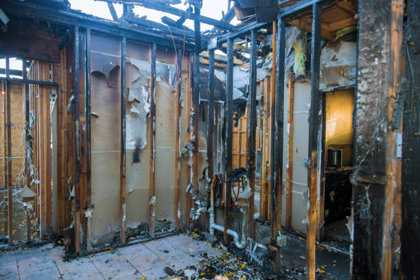 Professional Fire Damage Repair technician working in Aurora, TX